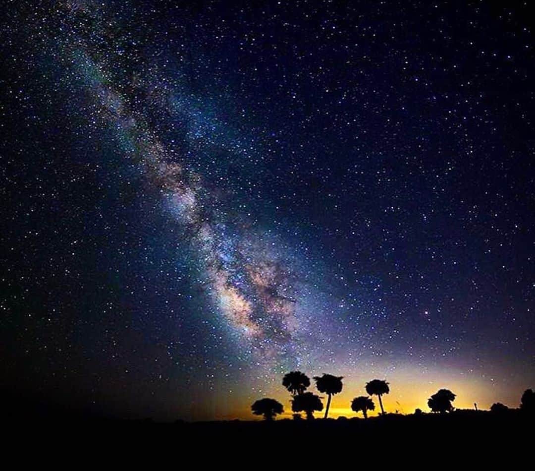 アメリカ内務省さんのインスタグラム写真 - (アメリカ内務省Instagram)「A cosmic display of stars opens across the sky over Blackbeard Island National Wildlife Refuge. This barrier island refuge is off #Georgia's coast is about 50 miles south of #Savannah. It protects the precious coastline and habitat for all types of wildlife, including summertime nesting sea turtles and year-round shorebirds. #Blackbeard Island is accessible only by boat, and visitors will need to use their own watercraft or arrange a charter service to access the refuge. Whether you're enjoying the #nightsky,  hugged by the stars, or exploring the island trails during the day, Blackbeard Island is an unburied treasure. Photo by Douglas Stratton (@Douglasstrattonphotography). #USInterior #NationalWildlifeRefuge #PublicLands」6月13日 9時05分 - usinterior