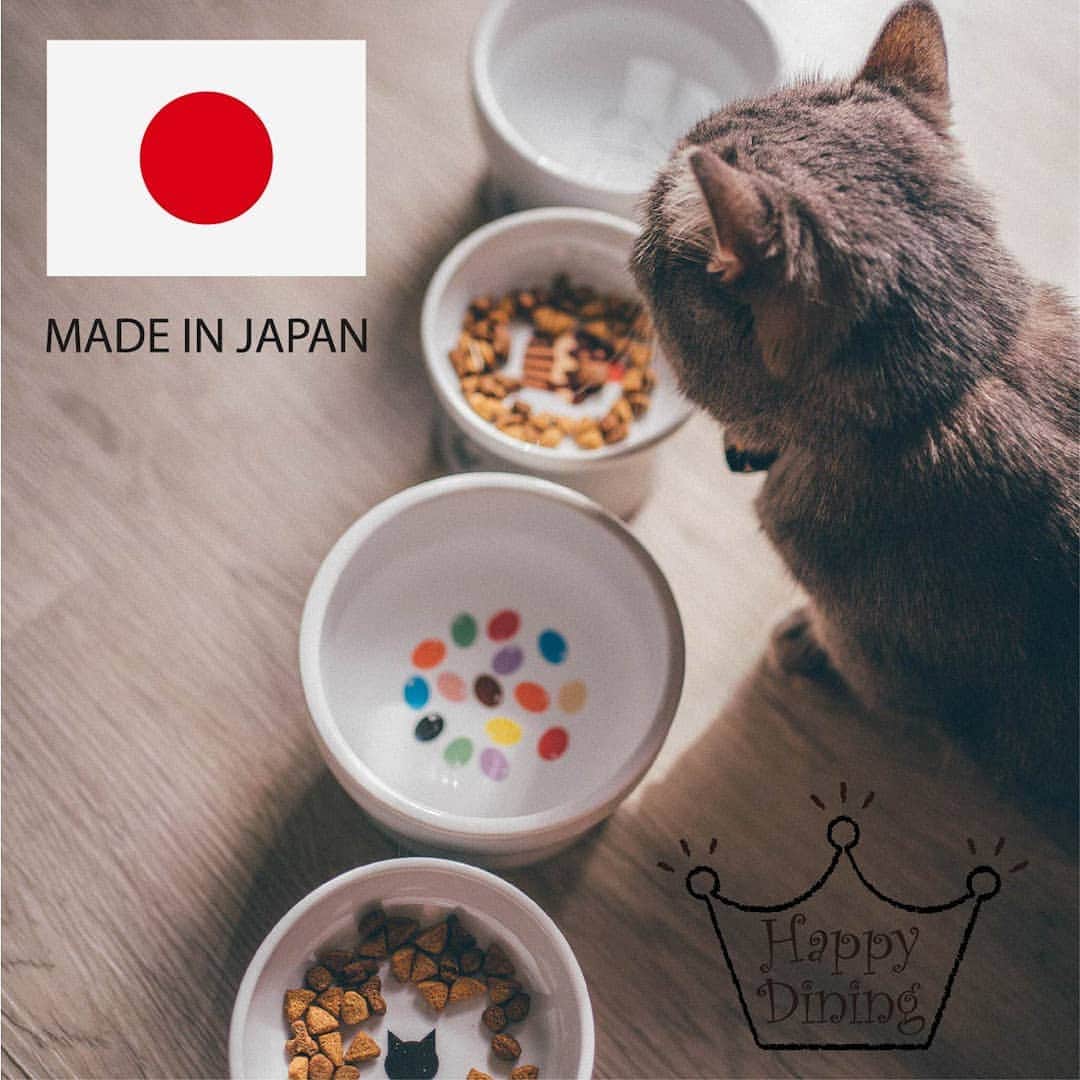 猫壱（ねこいち•ネコイチ）さんのインスタグラム写真 - (猫壱（ねこいち•ネコイチ）Instagram)「【#猫壱アンケート 】 ▫ #猫壱 では今までに#猫用爪切り や#抜け毛取りワイパー #猫用スポンジ など協力メーカーさんと共に【Made in Japan】商品の開発を行ってきました😄 ▫ 日本の安全と安心を感じるクオリティと機能を持った商品を作りたいという思いから2016年より始めた猫壱の【Made in Japanプロジェクト】😺 ▫ ▫ 今回は猫壱の代表的な商品であり、主な商品である#ハッピーダイニング　についても、【Made in Japan】を実現できないかな？と考えています。 ▫ ▫ そこでフォロワーの皆様にご質問です！ 猫壱の#ハッピーダイニング　#脚付フードボウル ・#脚付ウォーターボウル を【Made in Japan】で製造されることについて感じることやご意見はありませんか？？ ▫ 『日本製かは重要じゃないよ！気にしない！』『値段が気になる！』『Made in Japanをぜひ！』など、どんなご意見でもかまいません♪ ぜひ、色々なお声を頂ければ幸いです❤ よろしくお願いいたします🍀 ▫ ▫」6月13日 9時06分 - necoichicojp