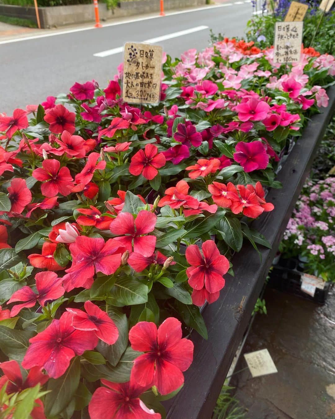 MILLE ECLAT.のグルメインスタ