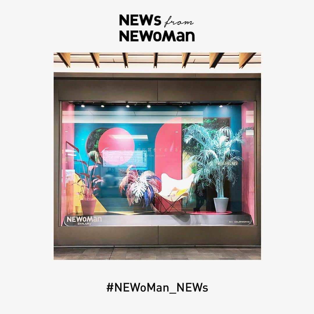 NEWoMan_officialさんのインスタグラム写真 - (NEWoMan_officialInstagram)「#NEWoMan ‪・ ‪NEWoMan WINDOW DISPLAY ‪・ ‪‪5月7日（木）～7月31日（金）の期間中、NEWoManが提案するライフスタイルテーマ『緑の息吹に耳をすませる。』を、Milena Nomura氏がフラワーアレンジとディレクションを手がけ、2Fのウィンドウディスプレイで表現しました。 ‪続きはNEWoMan新宿公式HPよりご覧ください。 ‪・ ‪#NEWoMan_NEWs #NEWoMan_WINDOW_DISPLAY #ウィンドウディスプレイ #ディスプレイデザイン #display #art #shinjuku #windowdisplay #ニュウマン #緑の息吹に耳をすませる #milenanomura #フラワーデザイン」6月13日 19時59分 - newoman_shinjuku