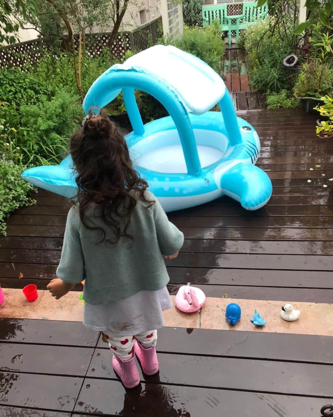 キャシー中島さんのインスタグラム写真 - (キャシー中島Instagram)「* 今日は雨の1日でした。 ハルコは雨が降っていても屋上の庭にいきたがります。 ハルコにとってはこんな小さな庭でもワンダーランドなんですね。 傘をさして雨をピチャピチャしていました。 あまりにも楽しそうなので少し遊ばせました。  ピカケの花が咲いたのに雨に打たれて花をいくつか落としています。 それでも蕾がたくさんついているので、これから次々と咲いてくれると思います。 お風呂場の横のベランダに置いてあるピカケも花をつけています。 しばらくはいい香りをプレゼントしてくれそうです。 なかなか行けないハワイを思い出す香りです🏝」6月13日 20時16分 - official_kathynakajima