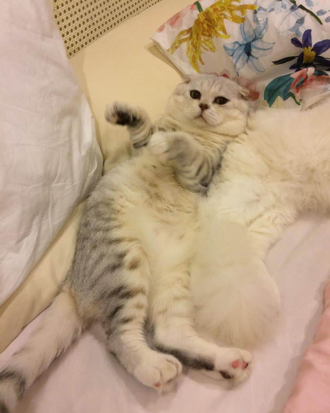 Haruのインスタグラム：「เบียดหน่อยดิ๊」