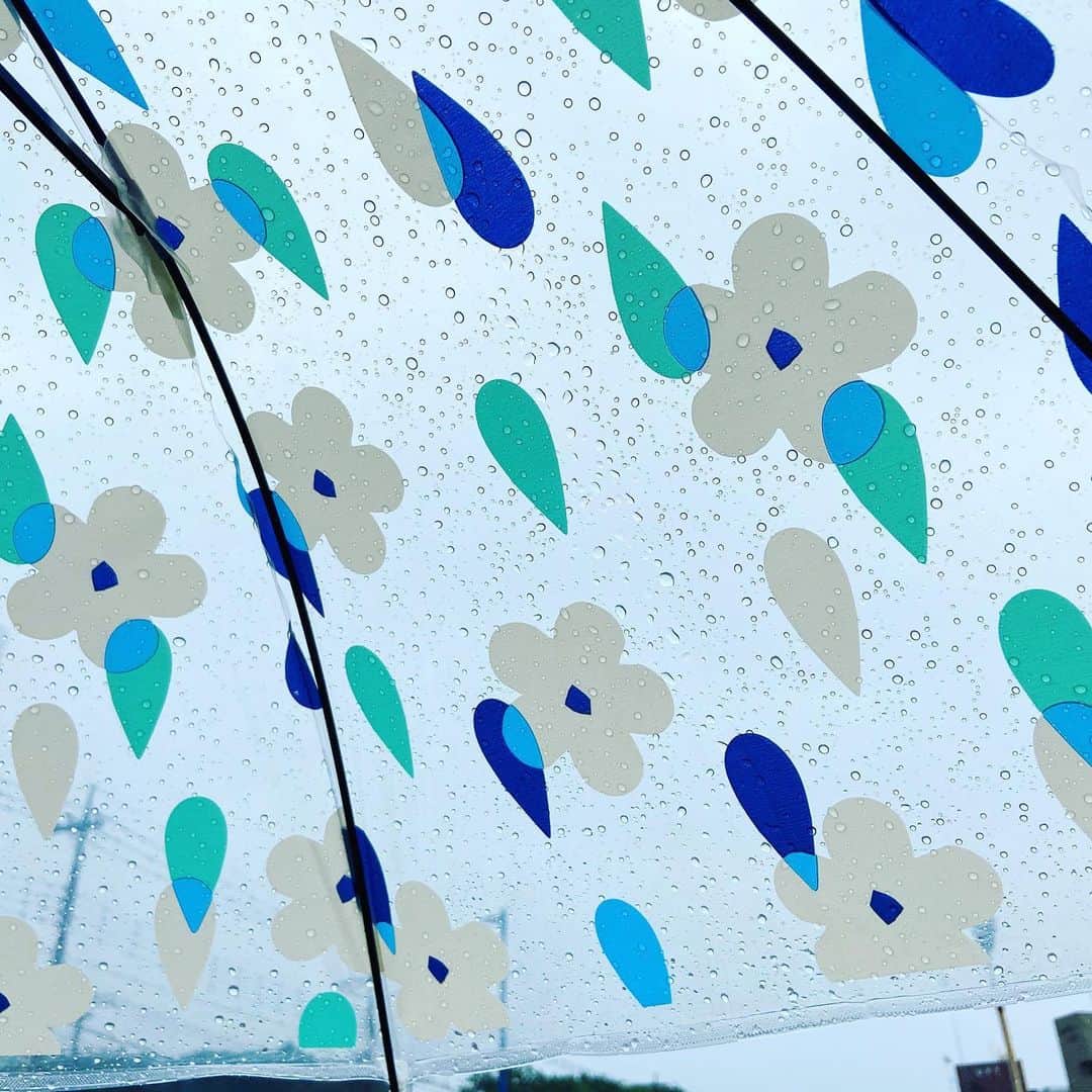 上野貴穂さんのインスタグラム写真 - (上野貴穂Instagram)「.﻿ 雨の日もすこしうきうきな気分で過ごせる﻿ お気に入りの傘🌂﻿ ﻿ #梅雨 #梅雨入り #雨 #傘﻿ #キャスター #アナウンサー #フリーアナウンサー #上野貴穂」6月13日 20時52分 - kiho_ueno