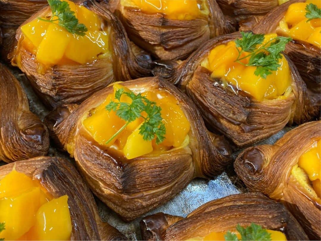 笹塚駅のパン屋さん オパンのグルメインスタ