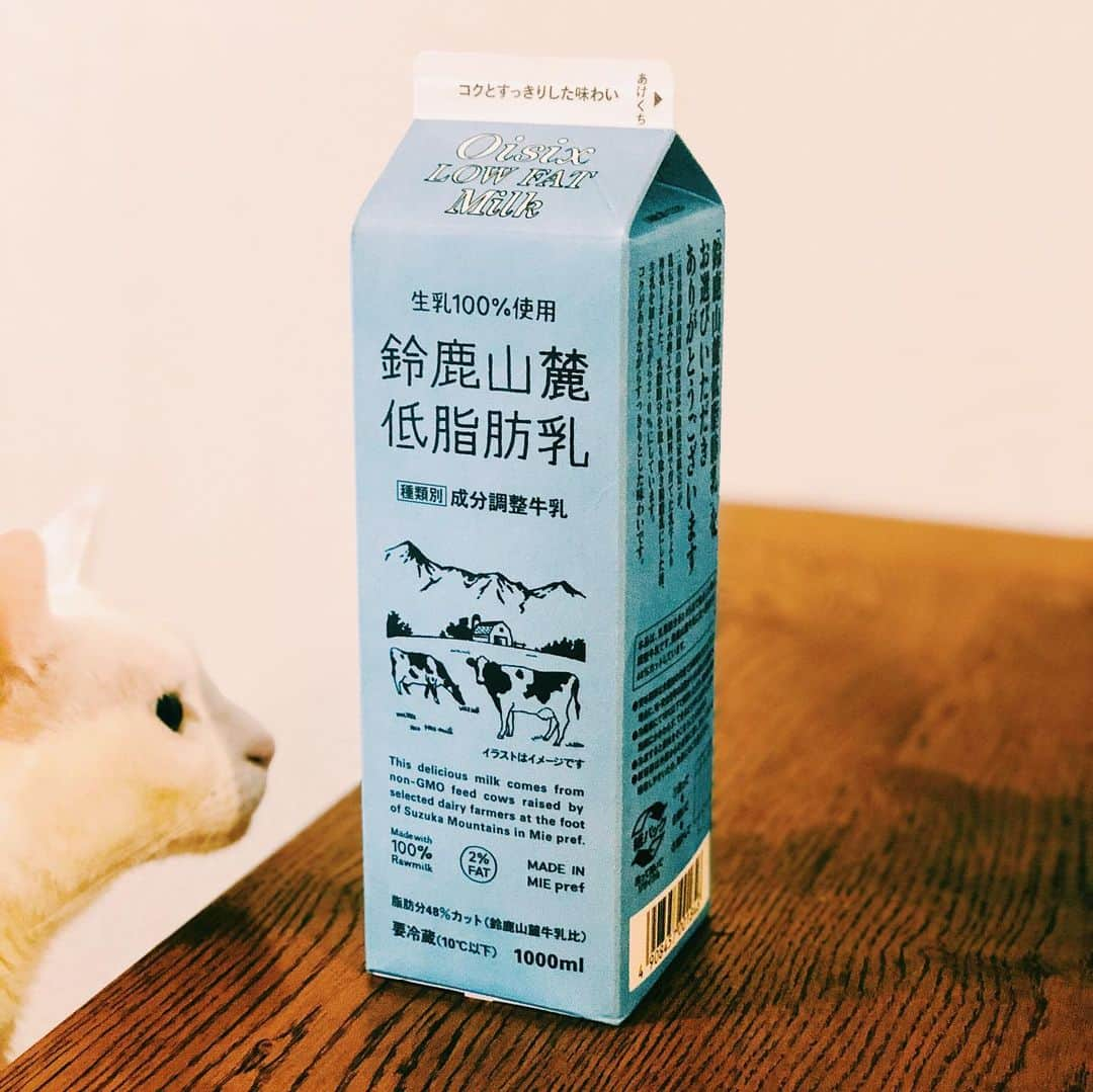 omomuroniさんのインスタグラム写真 - (omomuroniInstagram)「🐄 #パケ買い道場 🥛 . 某コンビニさん、パケ買い客を狙うなら、 こっちこっち、こっちの方向だよ！ . でもでも何より、美味しいのが大前提で。 オイシックスの牛乳、好きな味です。  #意地でも見切れたい猫との攻防 #撮ってると写り込みにくるシリーズ #オイシックス #パケ買い #鈴鹿山麓低脂肪乳 #四日市酪農 #オモ子のこれいいよ」6月13日 13時41分 - omomuroni