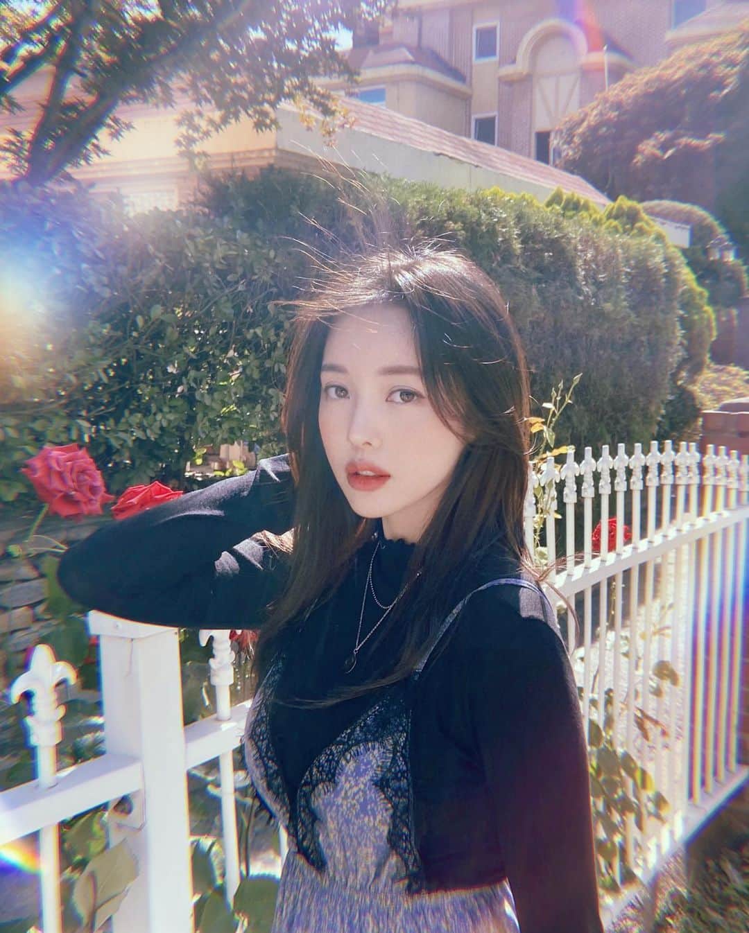 ポニーのインスタグラム：「요새 너무 더워졌네요!🦋🌹」