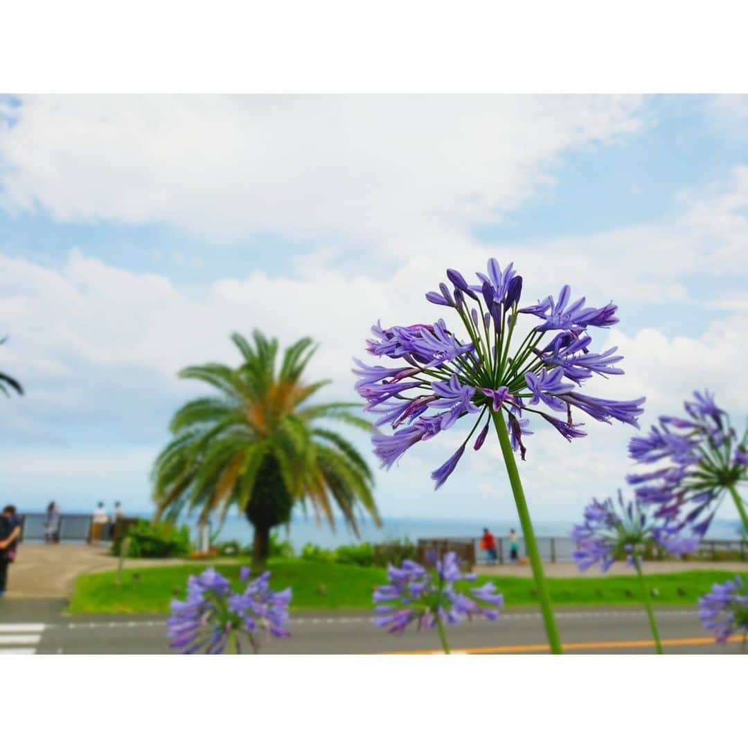 中村まきのグルメインスタ