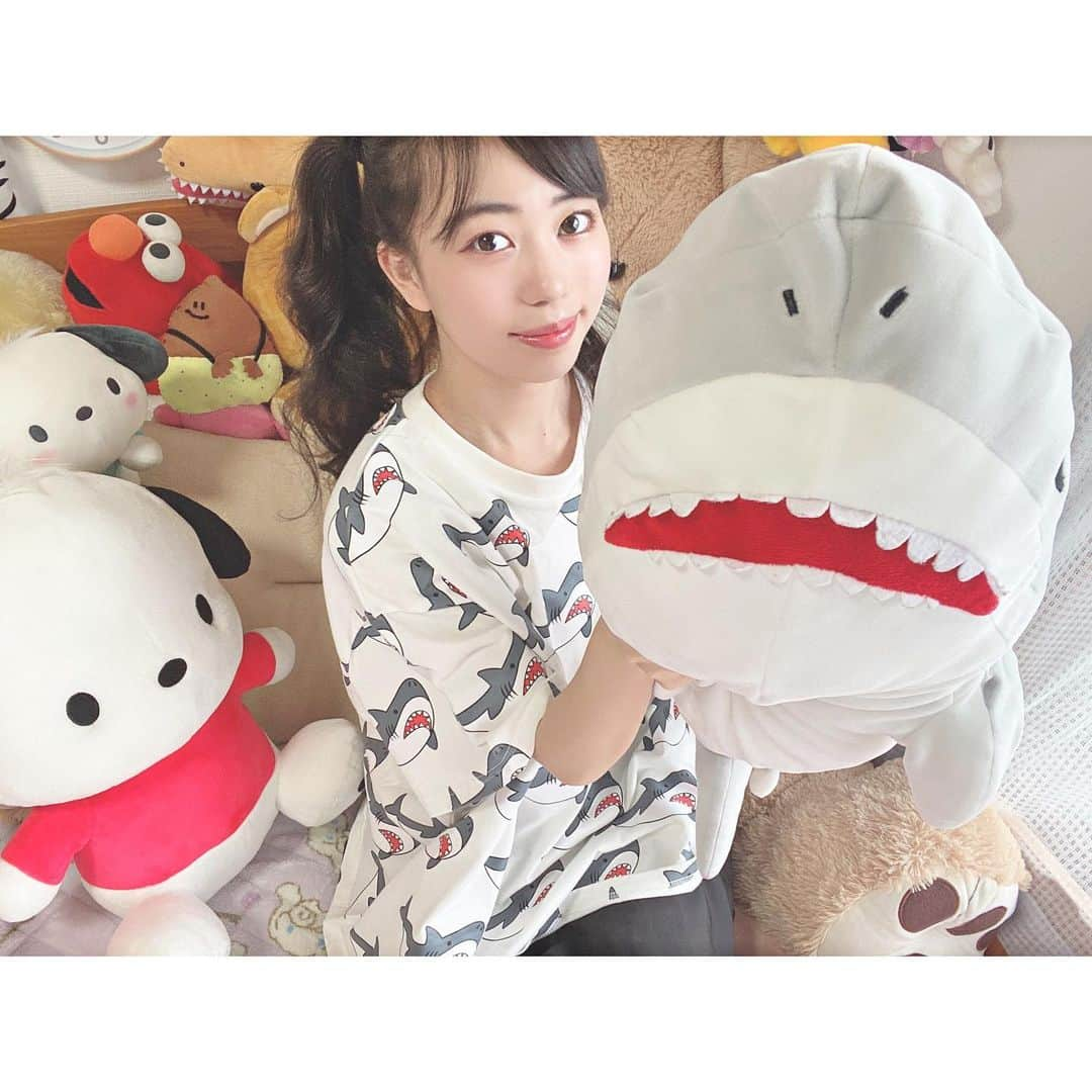 栗山梨奈さんのインスタグラム写真 - (栗山梨奈Instagram)「嫌なこと全部食べられてしまえ #followｍe #follow #likeforlikes  #hair #me #女子力向上委員会#オシャレさんと繋がりたい#wc#wego#shark  #サメ#ぬいぐるみ」6月13日 15時20分 - krn_hkt48