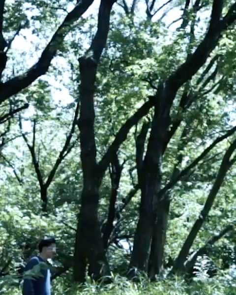 寺井文孝のインスタグラム：「eyes wide open 予告編  starring  Fumi Terai directed by Masao Fujita  #tokyo #shortfilm #film #newyork #coronavirus #stayhome #staysafe #japan #japaneseculture #eyes #goodvibes #trump #movie #kampala #日本 #日本人と繋がりたい #映画 #ショートフィルム #制作 #監督 #映像 #俳優 #ステイホーム #コロナに負けるな #自粛生活 #自粛中の過ごし方 #自粛生活を楽しく過ごす #おもしろすぎる #ショートフィルムフェスティバル」