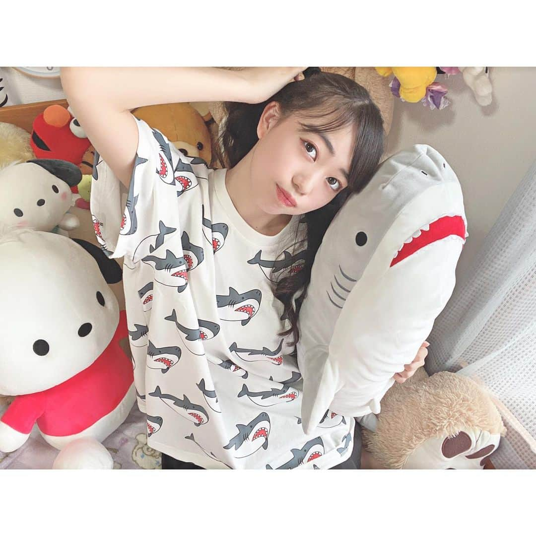 栗山梨奈さんのインスタグラム写真 - (栗山梨奈Instagram)「サメ🦈一目惚れ即買いTシャツ #followｍe #follow #likeforlikes  #hair #me #女子力向上委員会#オシャレさんと繋がりたい#wc#wego#shark  #サメ#ぬいぐるみ」6月13日 15時18分 - krn_hkt48