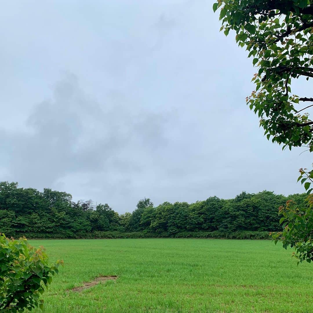 奈良美智さんのインスタグラム写真 - (奈良美智Instagram)「still “STAY HOME”. without face mask is comfortable. but I have to go out in a few days.」6月13日 16時25分 - michinara3