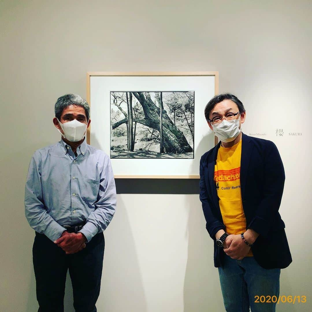 石井正則さんのインスタグラム写真 - (石井正則Instagram)「三好耕三先生の展示 「櫻」 が再開されました！  ギャラリーさんも細心の注意を払って展示を行われてました！  #三好耕三 #櫻 #石井正則  #masanoriishii #SAKURA #kozomiyoshi #pgi」6月13日 16時26分 - masanori_ishii_filmcamera