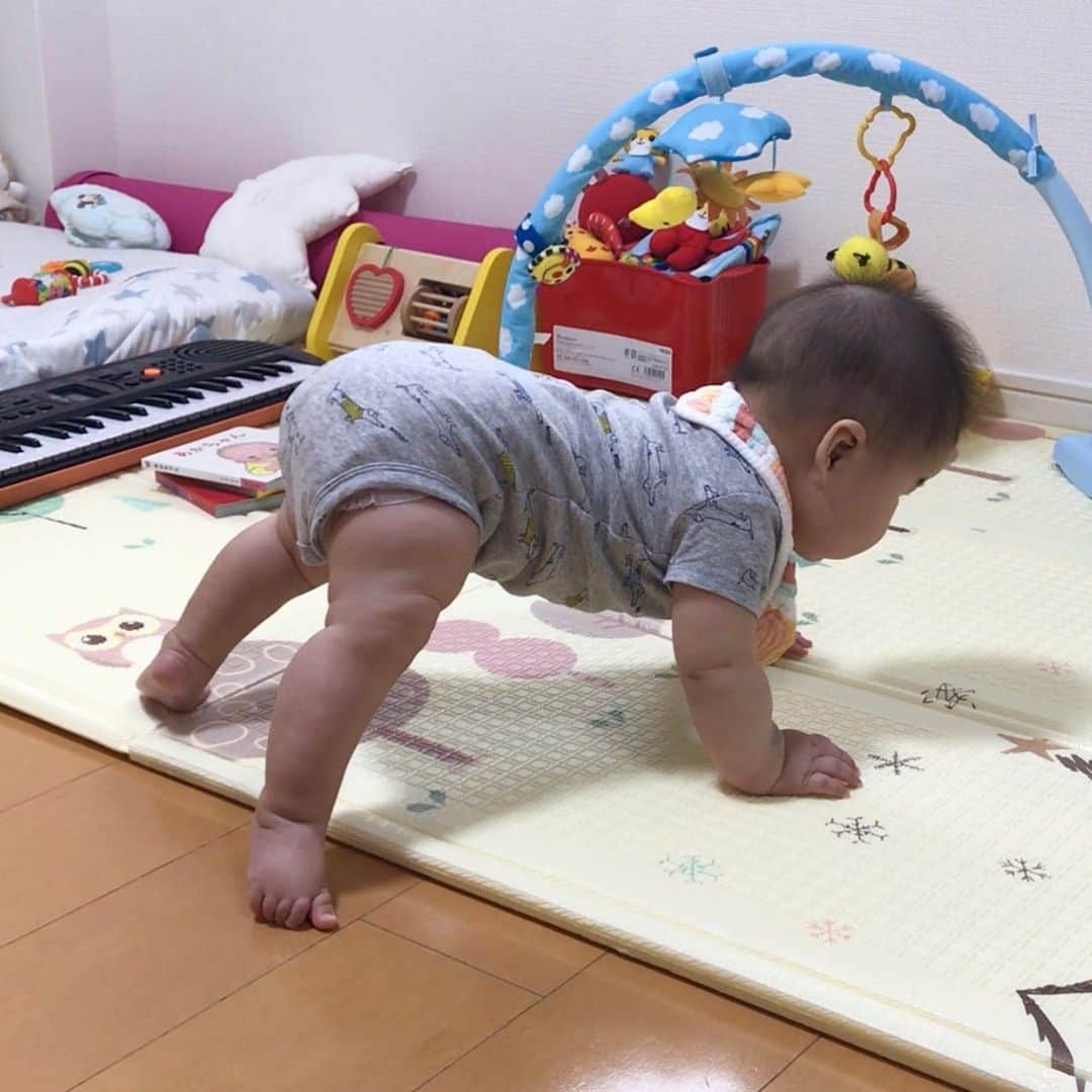 野口綾子のインスタグラム