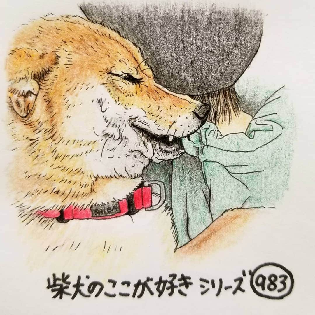 ハナとソラのインスタグラム