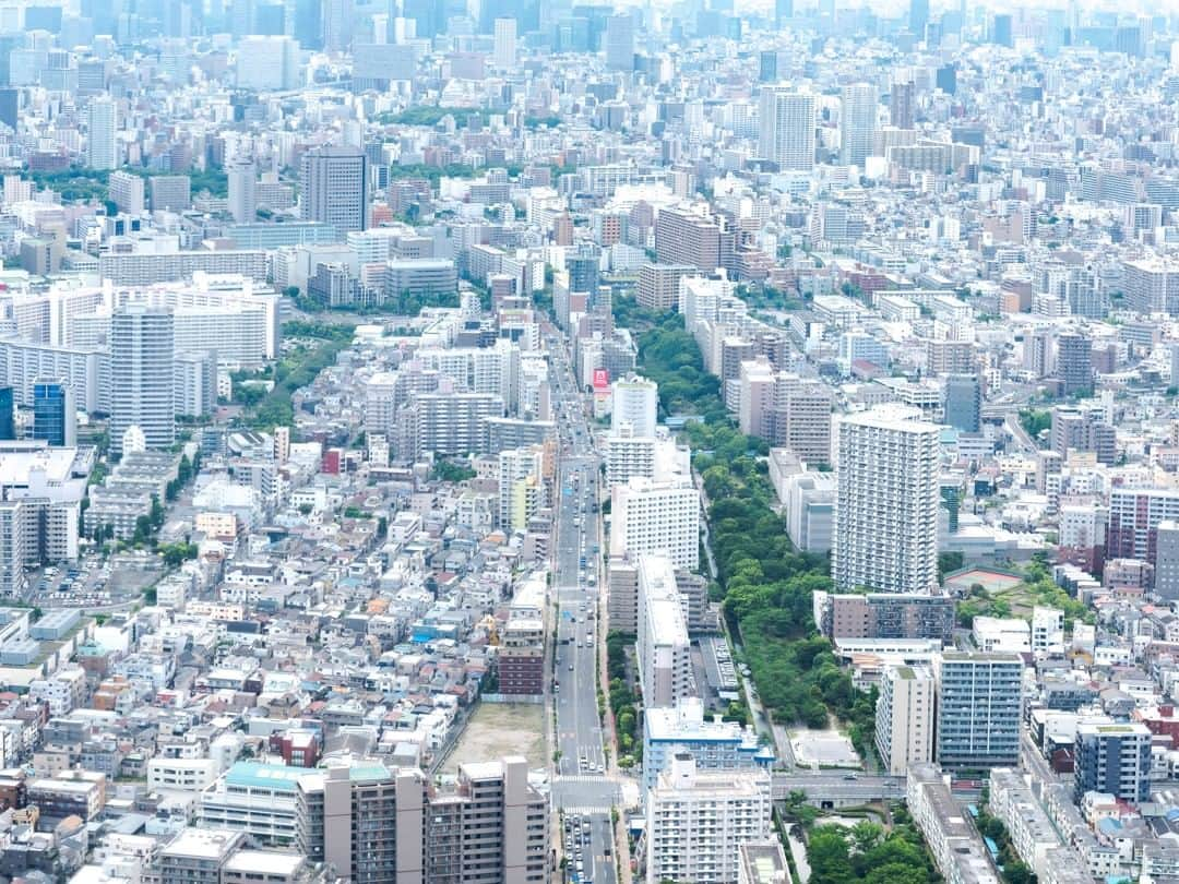 東京都庁広報課さんのインスタグラム写真 - (東京都庁広報課Instagram)「「仙台堀川公園南砂上空（江東区）／minamisuna (2020.5.28撮影)」最寄駅：南砂町駅 　#南砂町 #新砂 #東砂 #北砂 #南砂町グルメ #仙台堀川公園 #tokyotokyo #tokyogram #moodygrams #jp_gallery #ptk_japan #gdayjapan #realtokyo #beautifuldestinations #tokyojapan #instatokyo #loves_nippon #phos_japan #bestjapanpics #cooljapan #japan_of_insta #photo_jpn #illgrammers #景色 #東京 #Tokyo #东京 #도쿄 #tokyogood」6月13日 17時01分 - tocho_koho_official