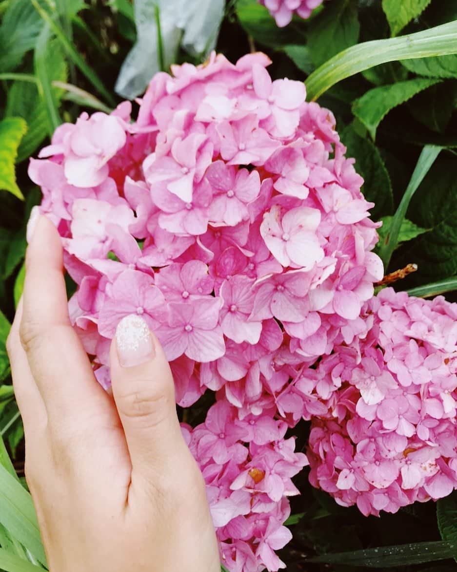 越川真美さんのインスタグラム写真 - (越川真美Instagram)「𝓇𝒶𝒾𝓃𝓎 𝒹𝒶𝓎☂﻿. . . 関東は梅雨入りしたみたいね//☂﻿// 梅雨があけたら、大好きな夏だ🌺🌴🏖 今年の水着はもう買ったから 着るのたのしみだなっ♡  #梅雨 #紫陽花」6月13日 17時21分 - koshikawamami