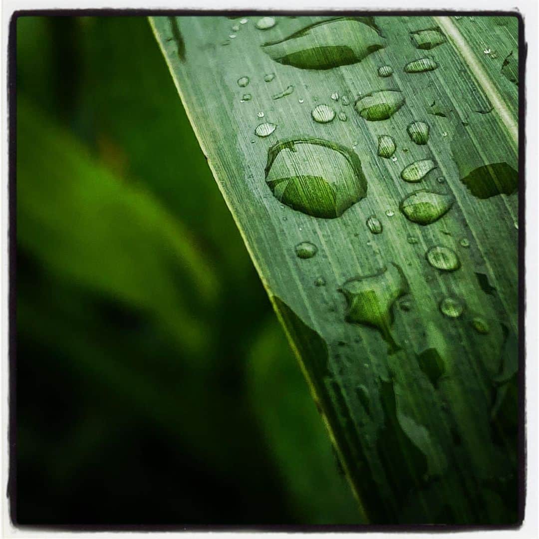 浅岡雄也のグルメインスタ