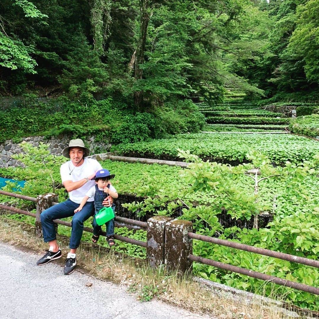 松永祥兵のインスタグラム：「WASABI山葵」