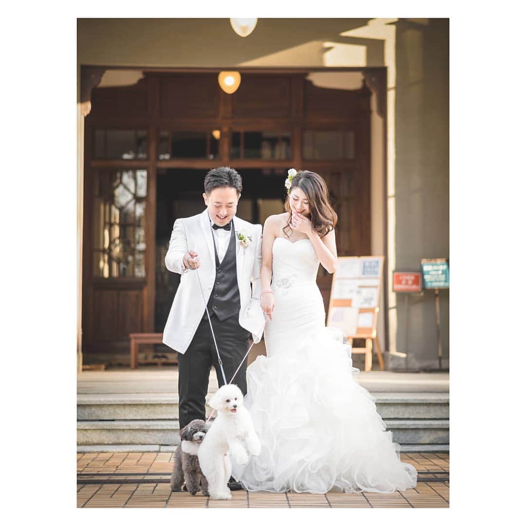 マスダヒロシのグルメインスタ