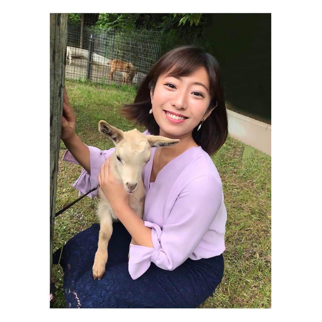 のインスタグラム：「🐐 . しろとり動物園に この間、撮影で行ってきました✨ . ヤギちゃんにミルクを飲ませたり ひよこちゃんと戯れたり🐣 楽しいひとときでした💓 . #香川県 #東かがわ市 #しろとり動物園 #zoo」