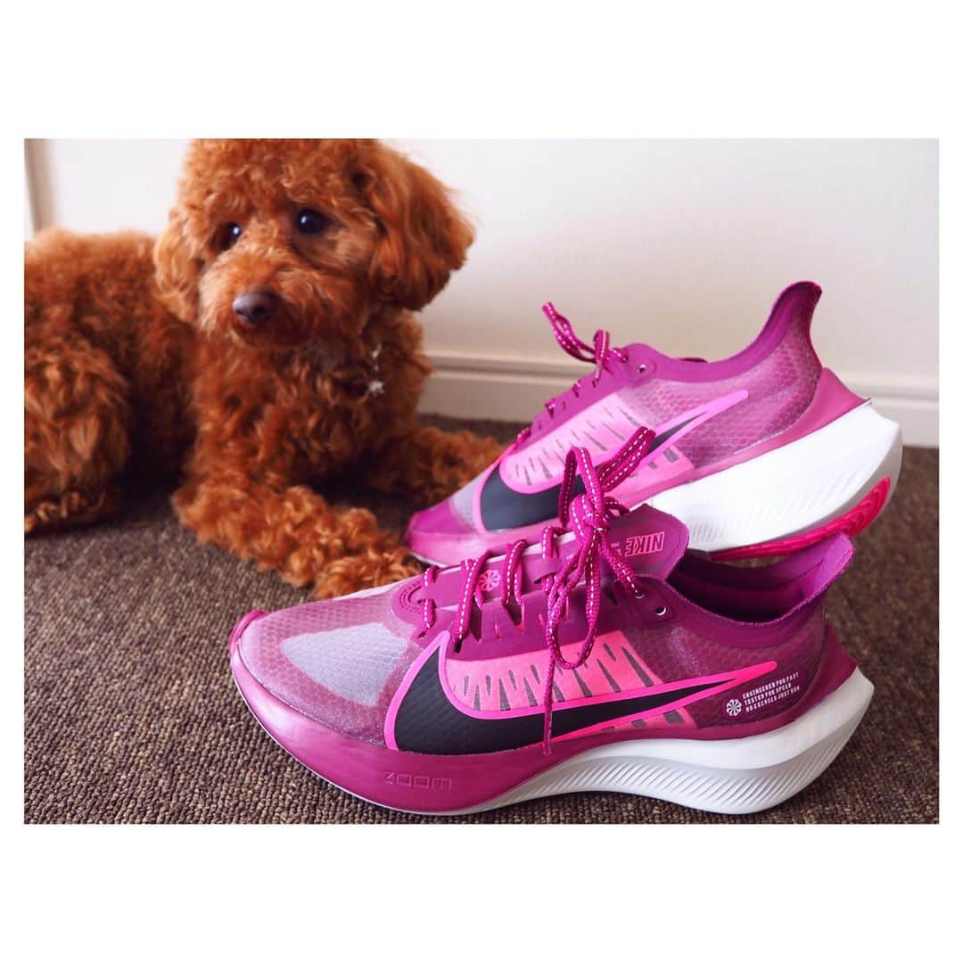 のインスタグラム：「👟﻿ 梅雨入りですね🌂﻿ お義父さんからもらった﻿ お気に入りのスニーカーでの﻿ 運動は少し休憩だな〜💭 ﻿ ﻿ 洗濯物も外に干せないし﻿ 蒸し暑い、、、😫 ﻿ ﻿ でもあと2週間したら﻿ Jリーグ再開‼️﻿ やっと…やっとだ〜﻿ ドキドキワクワク﻿ #サッカーのある週末　が﻿ 戻ってくるよ〜⚽️✨」