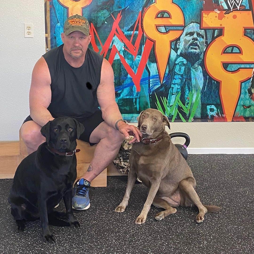 ストーン・コールド・スティーブ・オースチンのインスタグラム：「Pumpin’ iron with my training partners. Cali and Moolah.  #brokenskullranch  #blacklab #silverlab  #doglife」