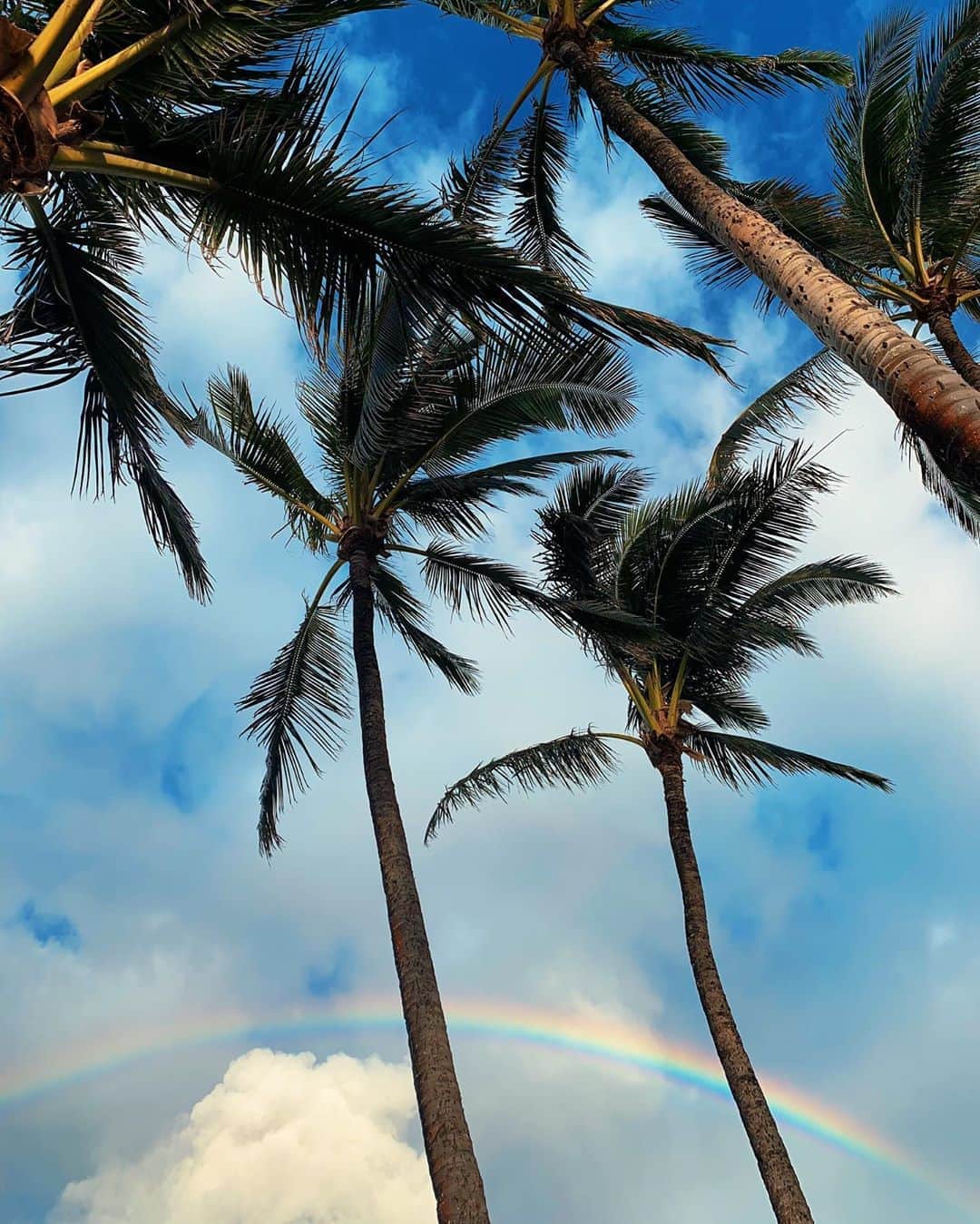 マリア・マーフィーのインスタグラム：「The little things 🙃🌈」