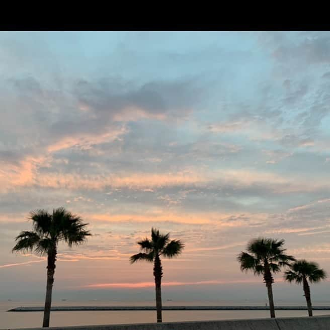 美城れんのインスタグラム：「今日は…南国みたいに見えるけれど、日本の夕焼け空を😊　この色合いを見るとつい写真を撮ってしまう…😌✨ 今日も、色々な事に心からの感謝を…😌🙏✨✨mahalo✨✨」