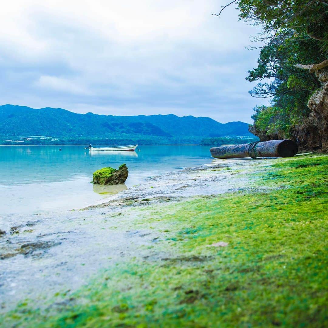 Hanako公式さんのインスタグラム写真 - (Hanako公式Instagram)「【#HanakoTravel】﻿ 📍今回は特別編をお届け！﻿ 国内、海外を問わず、60を超える旅の景色を紹介してきた本連載でインスタフォトグラファー @6151 さん（ロクイチゴイチ）が忘れられない旅の記憶とは？﻿ ﻿ 注目の第2位は…？﻿ ﻿ FOOD：〈金精軒〉の「水信玄餅」と名水の里🧊﻿ 山梨県白州町の名水と寒天だけを使った和菓子はまさに水の宝石。口の中で儚く消える感覚は忘れられない。﻿ ﻿ SPOT：碧い海と大自然に囲まれた石垣島の川平湾🌿﻿ 雨模様でも色鮮やかな川平湾。エメラルドグリーンに輝く静かな海を眺めているだけで穏やかな気持ちに。﻿ ﻿ ﻿ #Hanako #Hanako_magazine #カメラ女子 #女子旅 #タビジョ #水信玄餅 #霧島神宮古宮址 #金精軒 #山梨グルメ #石垣島旅行 #旅グルメ #カフェ巡り #旅ごはん #japantrip #旅の記録 #旅スタグラム﻿ ﻿ 📣# Hanakotravel では4人のインスタグラファーが国内外のいろいろな土地を旅して、誌面とInstagramの両方で素敵な写真をお届しています。」6月13日 22時01分 - hanako_magazine