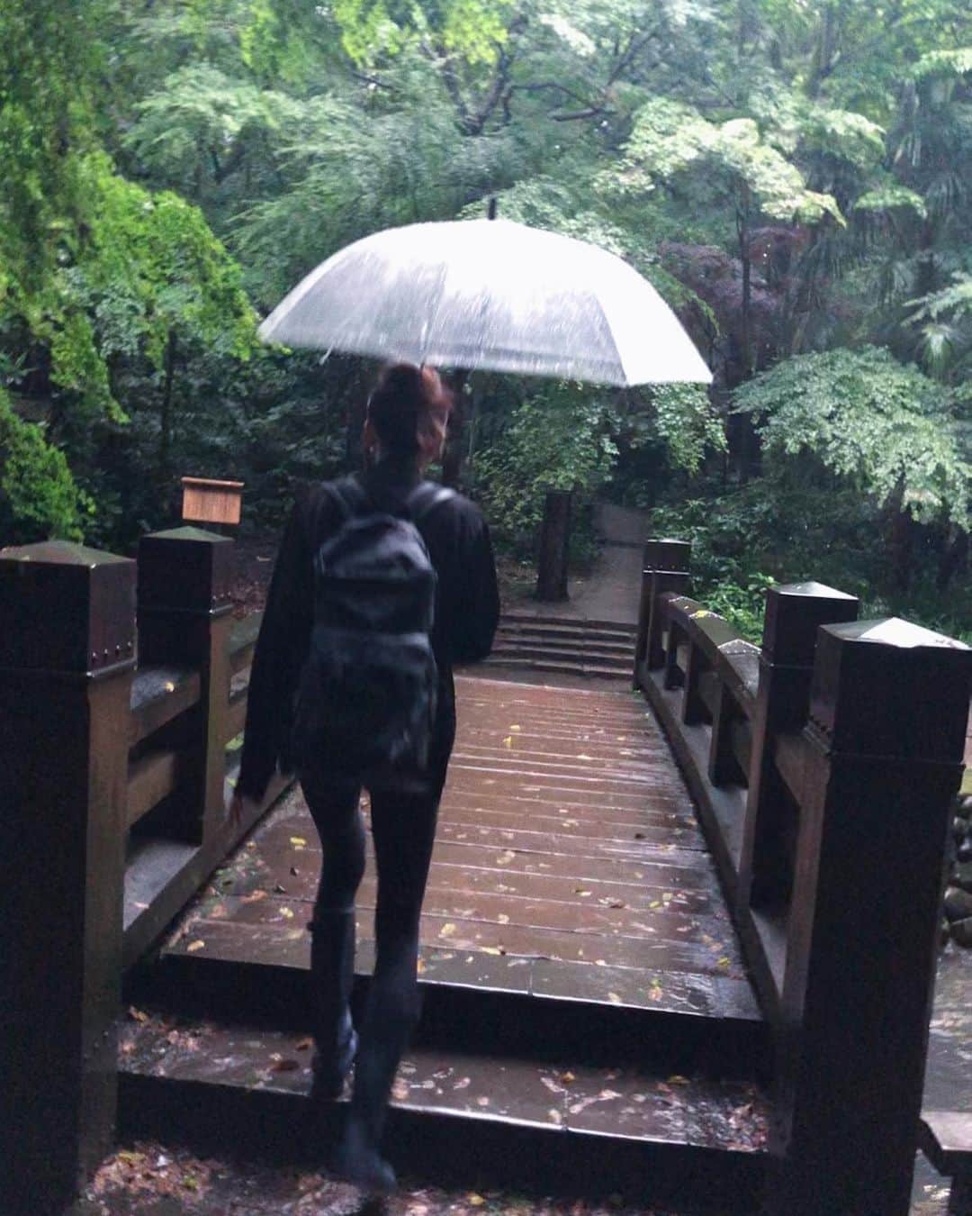 関絵理子さんのインスタグラム写真 - (関絵理子Instagram)「森林浴🌿  生憎の雨 と思いながらも 雨の中の渓谷、雰囲気があって 緑の匂いがして〜 癒されました🌱✨ ・ ・ 東京の近場でこんなに素敵な場所があるなんて〜 鳥もたくさんいるみたい🦜  ジェットボイルでお湯を沸かして 良いコーヒータイムになりました😋☕️✨ ・ ・ ・ #東京さんぽ #近場で森林浴 #等々力渓谷 #外でコーヒー #雨の日の過ごし方 #ジェットボイル #アウトドア用品 #アウトドアコーデ #癒しスポット #tokyonature #natureshots #tokyoview #coffeedaily #커피타임」6月13日 22時17分 - erikopanda