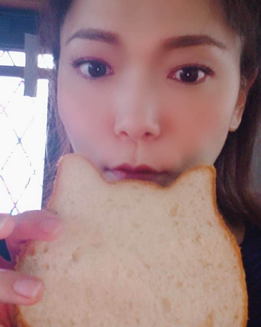 花咲ゆき美さんのインスタグラム写真 - (花咲ゆき美Instagram)「🐈ねこねこ食パン🍞 可愛いし美味しかった❤️ #花咲ゆき美  #ねこねこ食パン」6月13日 22時22分 - yukimi0774