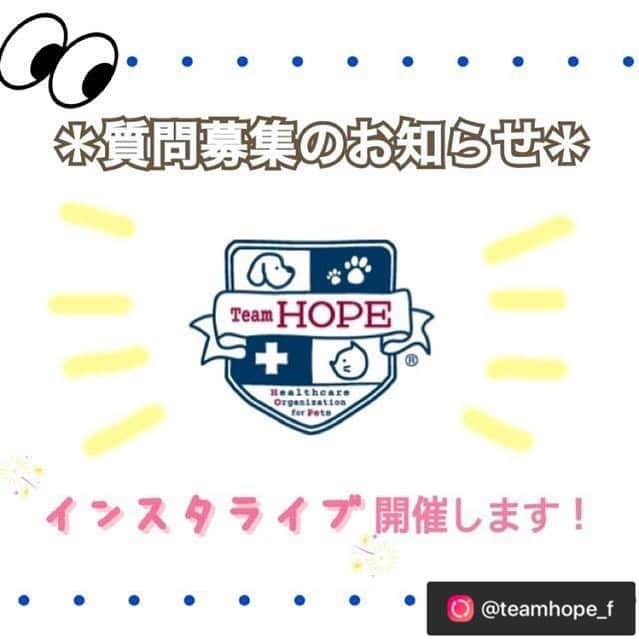 たまねぎさんのインスタグラム写真 - (たまねぎInstagram)「. . 全国の獣医師さんがペットの未来を考えTeamとなって、ペットの予防医療に取り組んでいるTeamHOPE( @teamhope_f ) りっくんもTeamHOPE健康診断を受けています。 . このたび、インスタライブで、ペットの健康やしつけ、食生活など普段の生活の中で気になることに獣医師の先生方がお答えくださるそうです！ . 日ごろずっと悩んでいたことなど、相談してみませんか？ .  以下TeamHOPEの投稿です。リポスト . ------------------ [TeamHOPEインスタライブ開催日時] ・6/20 (土)17:00-17:30 太田亟慈先生(一般社団法人Team HOPE代表、犬山動物総合医療センター代表) ・6/28(日)17:00-17:30 上條圭司先生(一般社団法人TeamHOPE副代表、ゼファー動物病院院長) ・7/4(土)17:00-17:30 川瀬英嗣先生(一般社団法人Team HOPE副代表、王禅寺ペットクリニック代表) ※以降の日時は決まり次第お知らせします。 . アカウントをフォローしていただいている皆さんから事前に【質問を募集】したいと思います。 ペットの健康相談やしつけ、食生活など普段の生活の中で気になることに獣医師の先生方がお答えします◎ . もちろんライブ配信中のご質問も大歓迎です✨  質問は @teamhope_f へDMをお送りください。 みなさまからのご質問、お待ちしております！ ------------------ . . #standardpoodle #dog #lovedogs #poodleinstagram #スタンダードプードル #whitepoodle #poodle #dogstagram #いぬのいる生活 #もふもふ部 #わんこ部 #犬と暮らす #いぬなしでは生きていけません  #いぬのきもち #TeamHOPE #ペットの健康相談室 #ペットの健康 #ペットの健康寿命をのばしたい #ペットは家族 #犬の健康 #猫の健康 #ペットとの暮らし #ライブ配信  全国の獣医師さんがペットの未来を考えTeamとなって、ペットの予防医療に取り組んでいるTeamHOPE。 りっくんもTeamHOPE健康診断を受けています。 . このたび、インスタライブで、ペットの健康やしつけ、食生活など普段の生活の中で気になることに獣医師の先生方がお答えくださるそうです！ . 日ごろずっと悩んでいたことなど、相談してみませんか？ .  以下TeamHOPEの投稿です。 . ------------------ [TeamHOPEインスタライブ開催日時] ・6/20 (土)17:00-17:30 太田亟慈先生(一般社団法人Team HOPE代表、犬山動物総合医療センター代表) ・6/28(日)17:00-17:30 上條圭司先生(一般社団法人TeamHOPE副代表、ゼファー動物病院院長) ・7/4(土)17:00-17:30 川瀬英嗣先生(一般社団法人Team HOPE副代表、王禅寺ペットクリニック代表) ※以降の日時は決まり次第お知らせします。 . アカウントをフォローしていただいている皆さんから事前に【質問を募集】したいと思います。 ペットの健康相談やしつけ、食生活など普段の生活の中で気になることに獣医師の先生方がお答えします◎ . もちろんライブ配信中のご質問も大歓迎です✨  質問は @teamhope_f へDMをお送りください。 みなさまからのご質問、お待ちしております！ ------------------ . . #standardpoodle #dog #lovedogs #poodleinstagram #スタンダードプードル #whitepoodle #poodle #dogstagram #いぬのいる生活 #もふもふ部 #わんこ部 #犬と暮らす #いぬなしでは生きていけません  #いぬのきもち #TeamHOPE #ペットの健康相談室 #ペットの健康 #ペットの健康寿命をのばしたい #ペットは家族 #犬の健康 #猫の健康 #ペットとの暮らし #ライブ配信 #リポスト」6月13日 23時02分 - tamanegi.qoo.riku