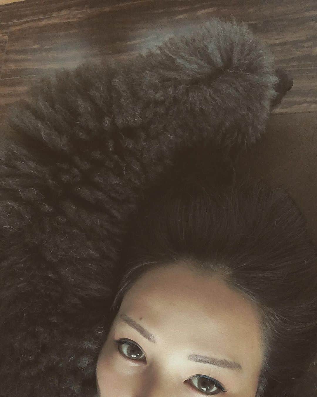 木村真野さんのインスタグラム写真 - (木村真野Instagram)「隅っこ好きな梅吉。😂髪の毛　白髪にみえる🤭🤭笑」6月13日 23時38分 - mayakimura5
