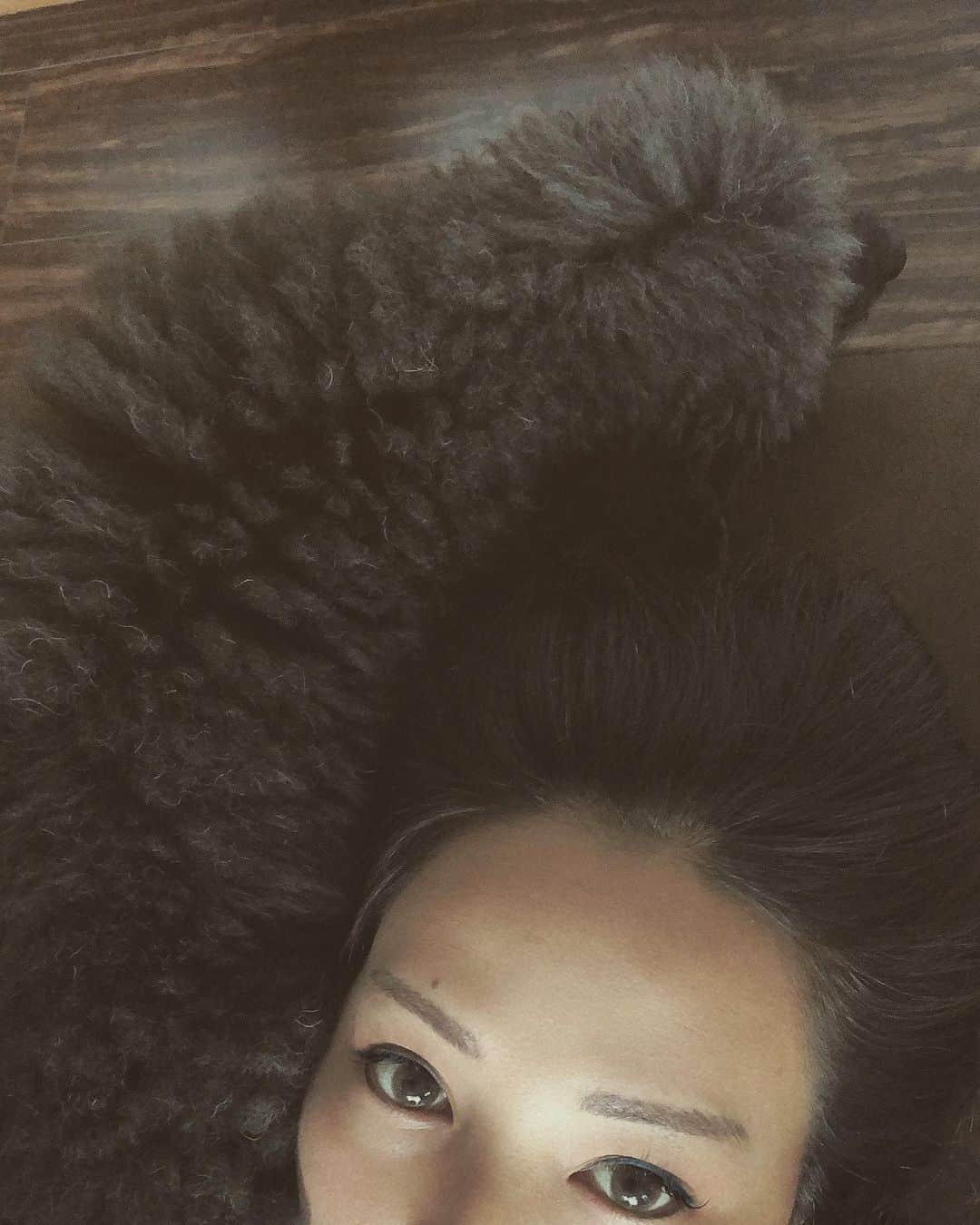 木村真野のインスタグラム：「隅っこ好きな梅吉。😂髪の毛　白髪にみえる🤭🤭笑」