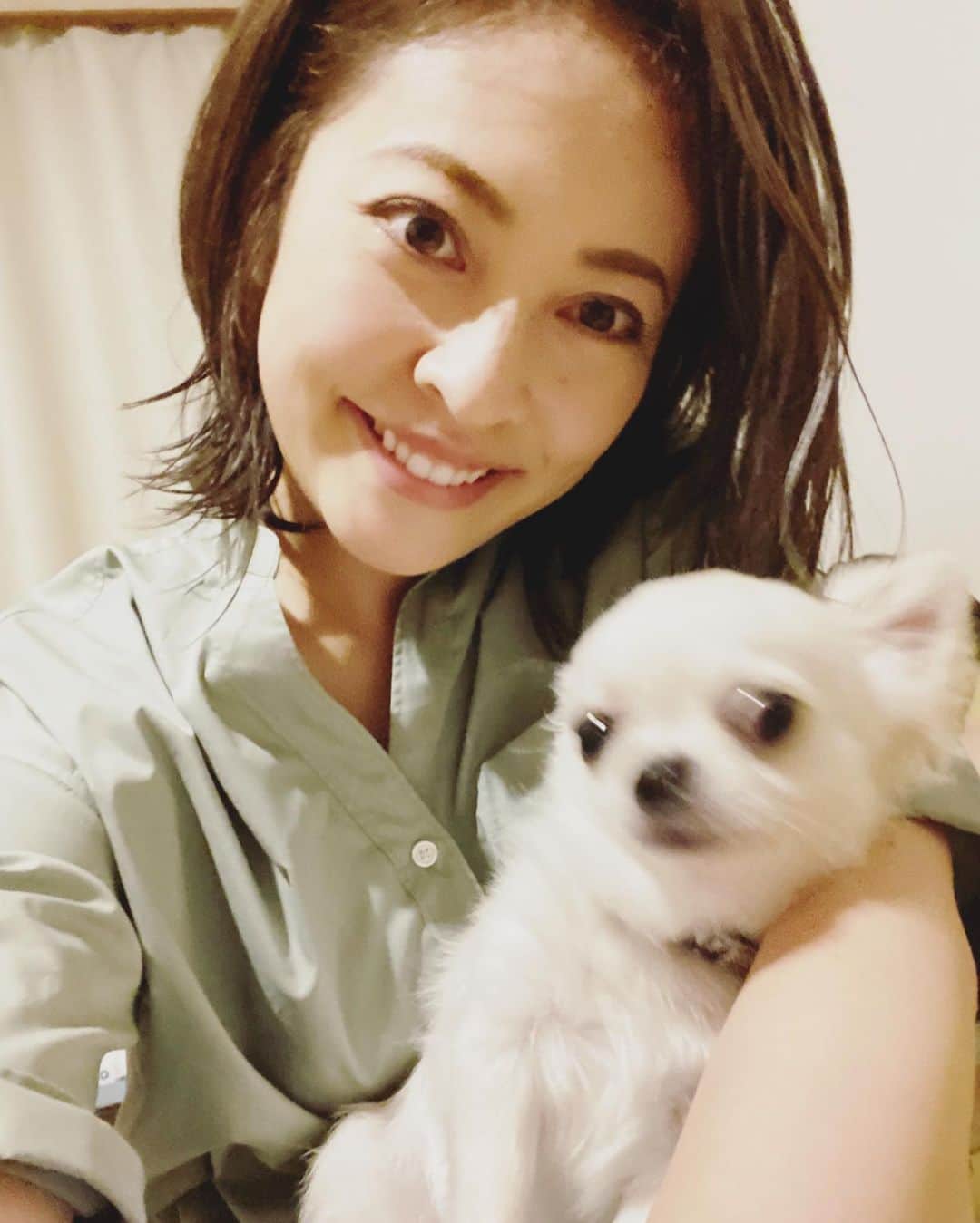 のインスタグラム：「ヘアカラーしてきました！ 髪の毛伸ばし中なので、切りたい気持ちを紛らわせ、カラーでなんとか乗り切る作戦。 ・ ・ ・ コビンと一緒に撮りたかったのに、彼と一緒に写真撮るのは無理そう😵 いつもにゅるにゅるしててウナギイヌみたいな感じ。ウナギイヌの触り心地は知らないけど😂 5枚目にしてようやく、コビンの顔がわかるくらいには撮れた❗️😂 ・ ・ ・ #味岡ちえり #bongo #chabin #cobin #犬好き #dogs🐶  #チワワ #ロングコート #ブラックタン #クリームホワイト #セーブルホワイト #多頭飼いチワワ  #chihuahua  #dogstagram  #犬がいる暮らし #犬がいないと生きていけない  #多頭飼い #ヘアカラー #color #hair #design」