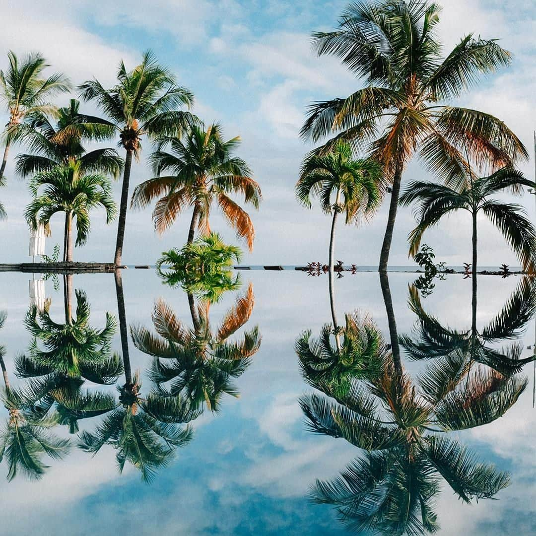 PAUL HEWITTさんのインスタグラム写真 - (PAUL HEWITTInstagram)「Paradise found. 🌴🌴🌴⚓️ #getAnchored #paulhewitt __ #paradise #palmtrees #palms #ocean #reflection #view #beautiful #nature #watches #accessories #jewellery」6月14日 1時02分 - paul_hewitt