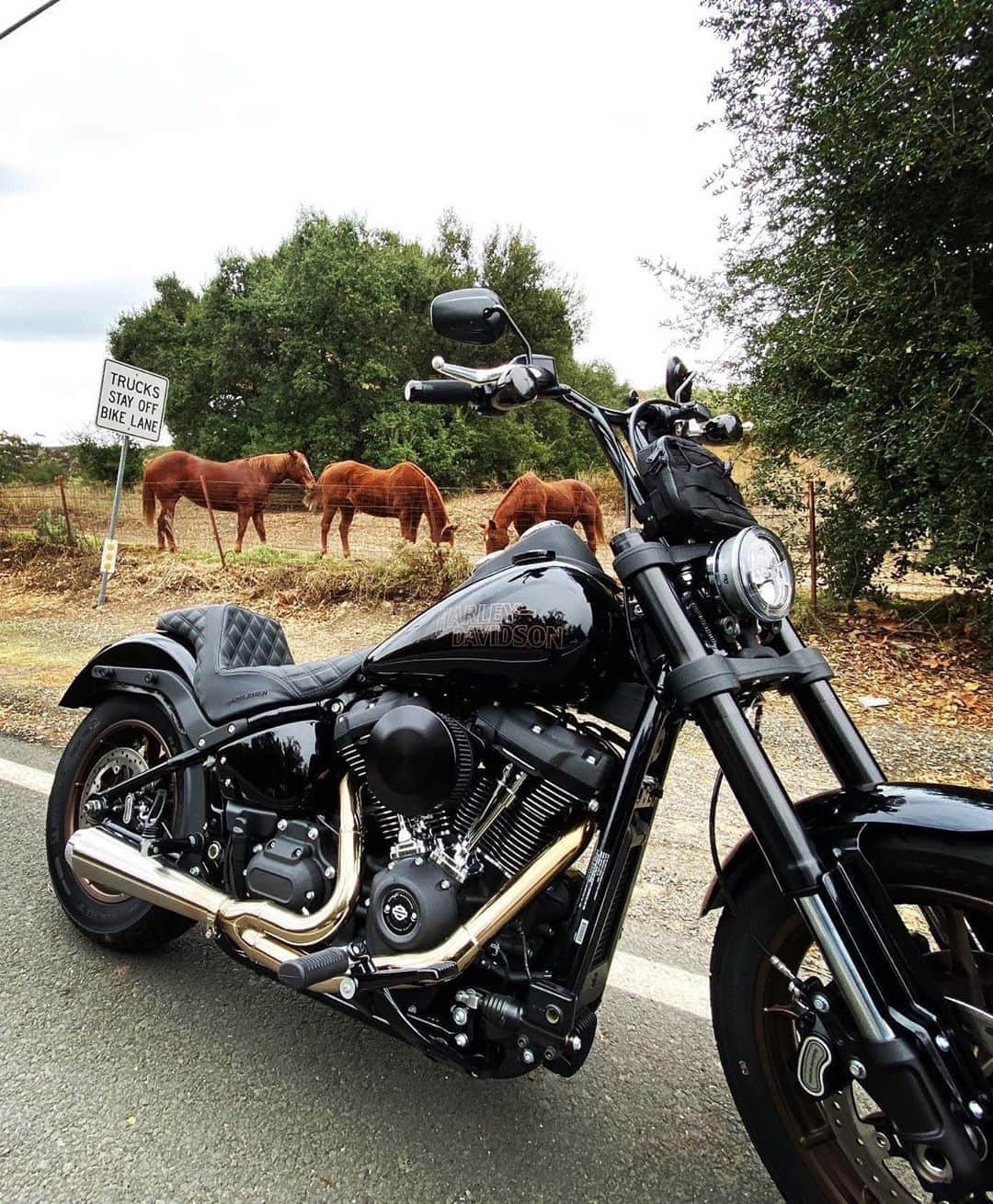 Harley-Davidsonさんのインスタグラム写真 - (Harley-DavidsonInstagram)「@manahan714 isn't horsing around when it comes to customizing his #HDLowRiderS. #HarleyDavidson」6月14日 1時27分 - harleydavidson