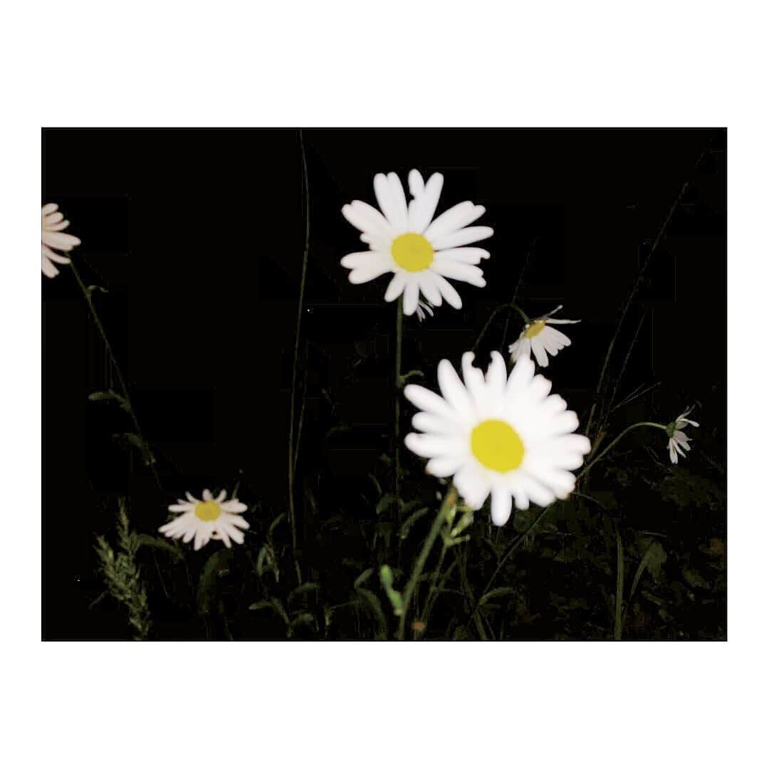 脇田唯のグルメインスタ