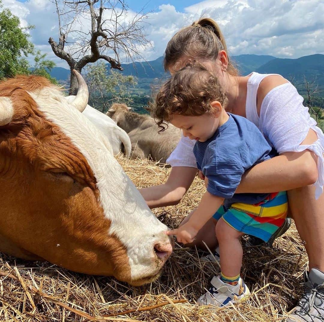 クリス・スモーリングさんのインスタグラム写真 - (クリス・スモーリングInstagram)「“Until one has loved an animal, a part of one’s soul remains unawakened.” ❤️」6月14日 2時10分 - smalling