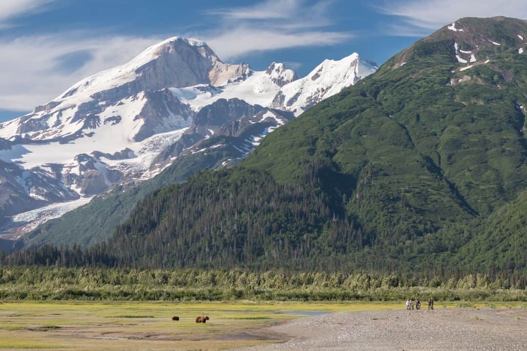 のインスタグラム：「Photo by @acacia.johnson | Visitors observe brown bears grazing on sedge grass in Chinitna Bay, in Alaska's Lake Clark National Park and Preserve. Only a short flight from Anchorage by bush plane, Chinitna is one of Alaska's most scenic places for wildlife enthusiasts to watch wild brown bears forage on grass, fish for salmon, and dig for clams. But the bears, and their ecosystem, are threatened by the proposed Pebble Mine, an open-pit gold and copper mine that would risk poisoning the water table and involve a sprawling transportation corridor within these bears' wandering ranges–both fracturing their habitat and putting their lives at risk. Follow me at @acacia.johnson for more stories from Alaska and beyond. #brownbears #alaska #pebblemine  Check out Nat Geo's link in bio for more on this story.」