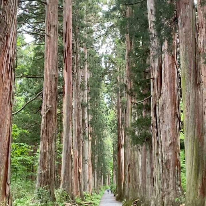 相馬絵美のインスタグラム