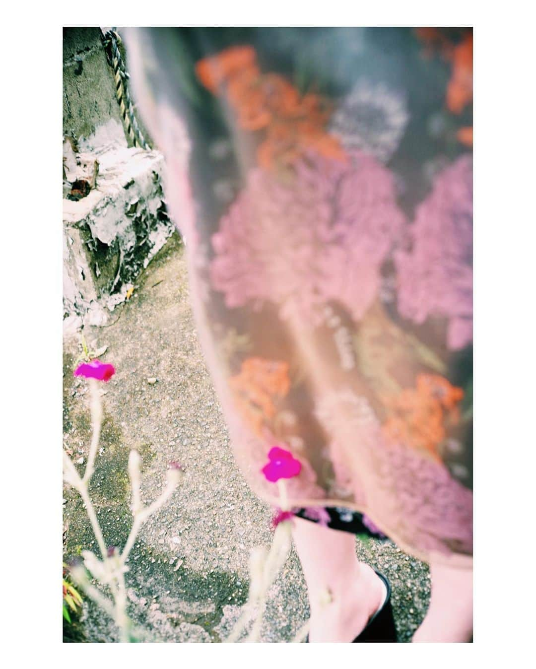 鈴木えみさんのインスタグラム写真 - (鈴木えみInstagram)「@lautashi transparent flower jacquard skirt 角度によって表情が変わるオーガンジーのベールに包まれた草花。 シンプルな白Tやブラウスと合わせても素敵。オールシーズン使える1枚です。 #Lautashi」6月14日 14時14分 - emisuzuki_official