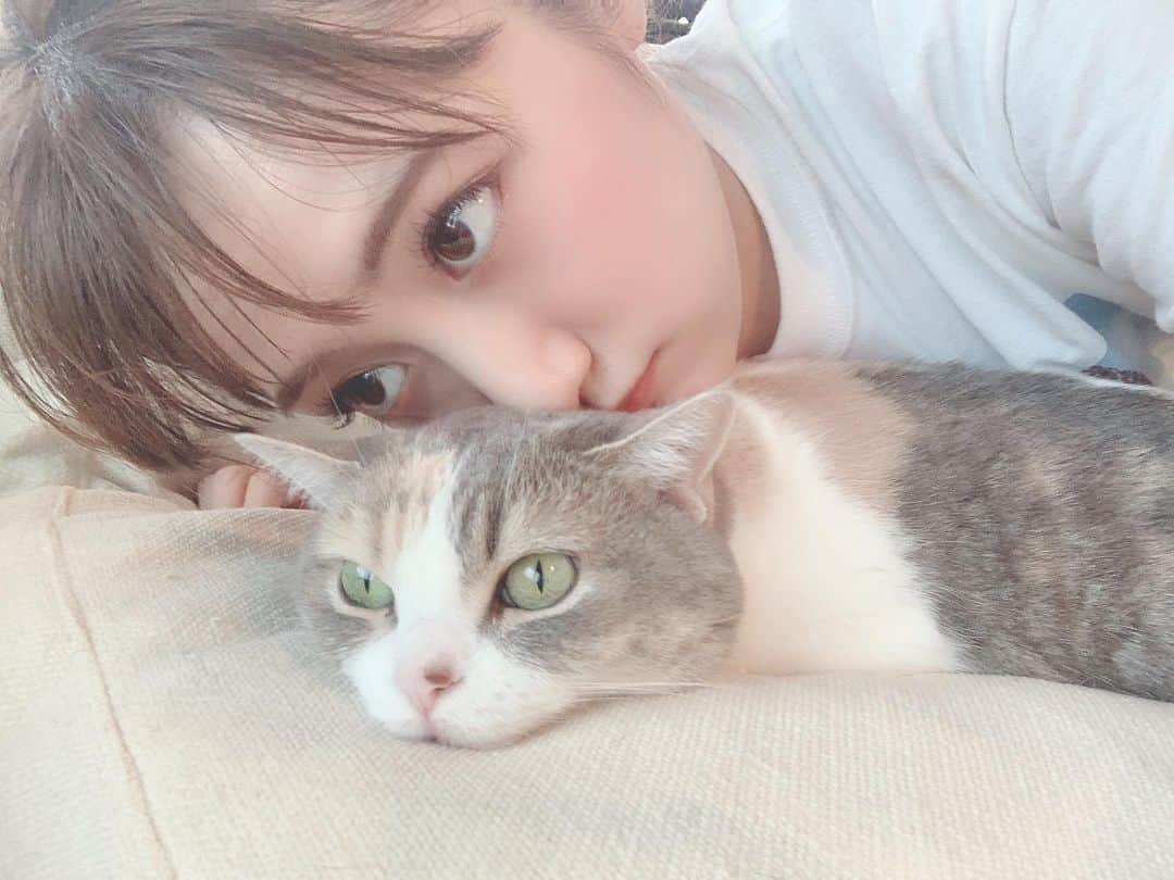 高橋みなみさんのインスタグラム写真 - (高橋みなみInstagram)「まったりまったり いつ見ても寝てるなぁ 猫様と一緒にいると時間がのんびり過ぎていくねー☺️ #cat #catstagram  #ふわもこ部 #マンチカン #love」6月14日 15時22分 - neco_mina