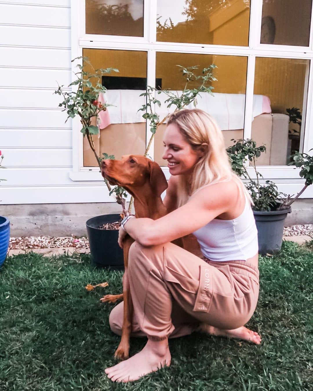 エミリー・シーボームのインスタグラム：「Stay pawsitive  #dogsofinsta #dogsofinstagram #dog #vizsla #vizslasofinstagram #sunday」