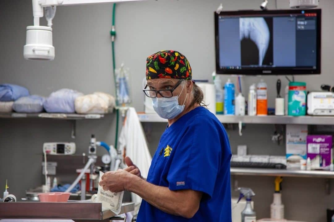 アニマルプラネットさんのインスタグラム写真 - (アニマルプラネットInstagram)「As many businesses and institutions have come to a standstill in light of the COVID-19 pandemic, one of America’s busiest veterinarians continues to operate and provide his services to pet owners in need. Dr. Jeff Young, star of #DrJeff: Rocky Mountain Vet, never considered closing his clinic during these unprecedented times. And while Planned Pethood International has stayed opened for emergencies, Dr. Jeff and his team have made significant changes to their operations to keep both people and pets safe. See how they're doing in a special edition of Dr. Jeff, premiering tonight at 10pm ET, . . . . . . . #covid19 #pandemic #veterinarymedicine #veterinaryclinic #animalhospital #plannedpethoodinternational #animalplanet #drjeffyoung #jeffyoung #plannedpethoodplus」6月14日 8時11分 - animalplanet