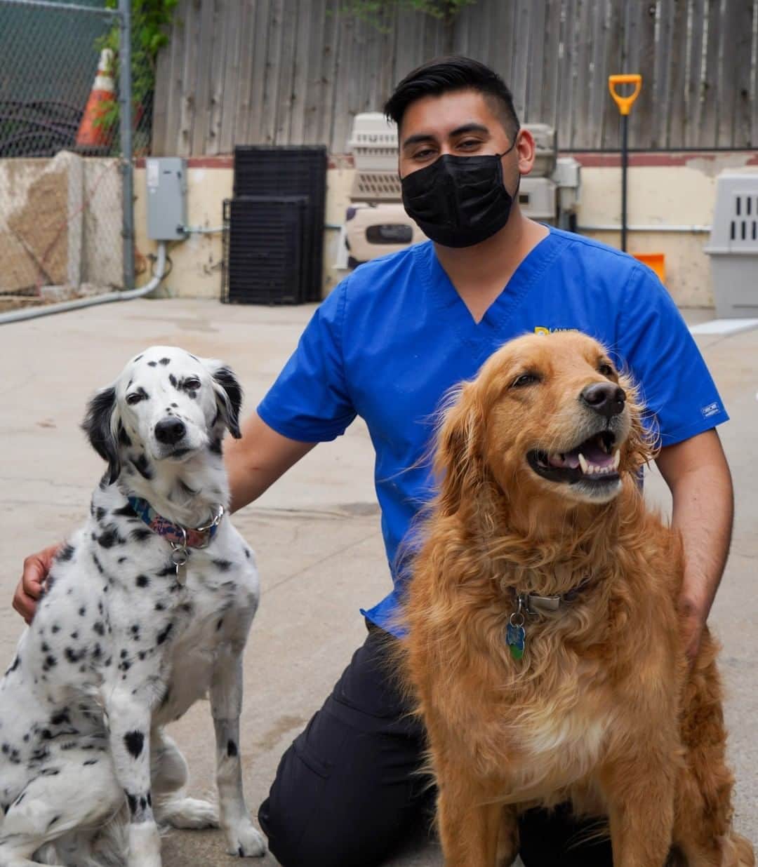 アニマルプラネットさんのインスタグラム写真 - (アニマルプラネットInstagram)「As many businesses and institutions have come to a standstill in light of the COVID-19 pandemic, one of America’s busiest veterinarians continues to operate and provide his services to pet owners in need. Dr. Jeff Young, star of #DrJeff: Rocky Mountain Vet, never considered closing his clinic during these unprecedented times. And while Planned Pethood International has stayed opened for emergencies, Dr. Jeff and his team have made significant changes to their operations to keep both people and pets safe. See how they're doing in a special edition of Dr. Jeff, premiering tonight at 10pm ET, . . . . . . . #covid19 #pandemic #veterinarymedicine #veterinaryclinic #animalhospital #plannedpethoodinternational #animalplanet #drjeffyoung #jeffyoung #plannedpethoodplus」6月14日 8時11分 - animalplanet