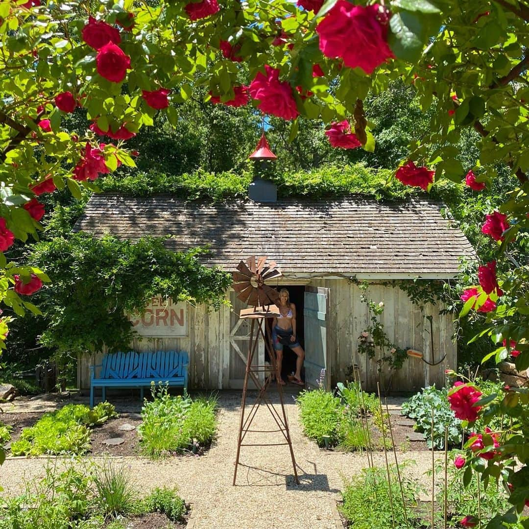 クリスティ・ブリンクリーさんのインスタグラム写真 - (クリスティ・ブリンクリーInstagram)「I wasn’t sure if it was #nationalroseday or #nationalroséday so here’s a little of both with a lot of love from my garden to everyone🌹🌸🌿🍾🥂🌸 #organicbellissimaprosecco in my #organicgarden  #sparklingrosé #vegan #gluten-free #nongmo #ecochicpagkaging snd #greenshipping  #lavieenrosé @bellissimaprosecco」6月14日 8時33分 - christiebrinkley