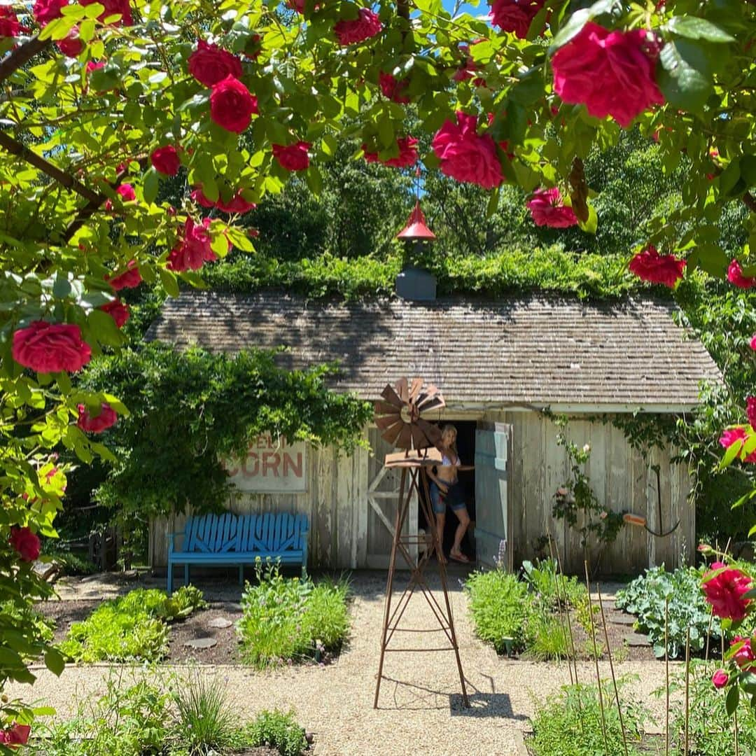 クリスティ・ブリンクリーさんのインスタグラム写真 - (クリスティ・ブリンクリーInstagram)「I wasn’t sure if it was #nationalroseday or #nationalroséday so here’s a little of both with a lot of love from my garden to everyone🌹🌸🌿🍾🥂🌸 #organicbellissimaprosecco in my #organicgarden  #sparklingrosé #vegan #gluten-free #nongmo #ecochicpagkaging snd #greenshipping  #lavieenrosé @bellissimaprosecco」6月14日 8時33分 - christiebrinkley