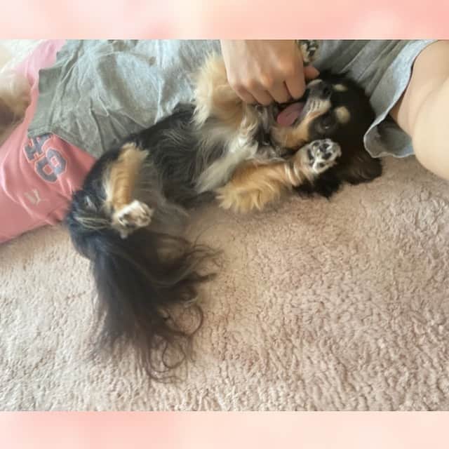 谷口あかりのインスタグラム