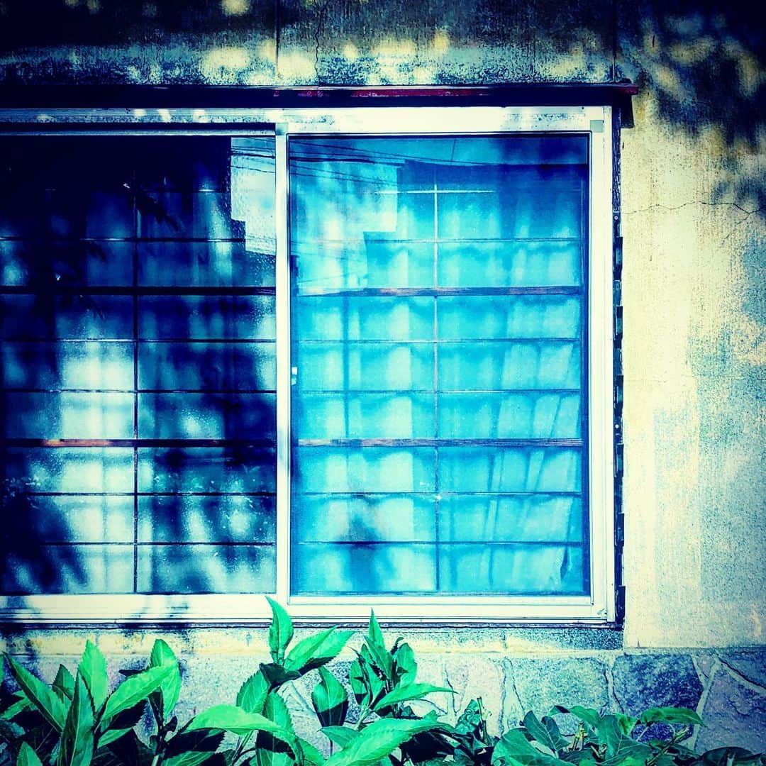 江田由紀浩のインスタグラム：「青い網戸、好きだなぁ、と思う。 #青い #網戸 #札幌市西区 #八軒 #散歩」
